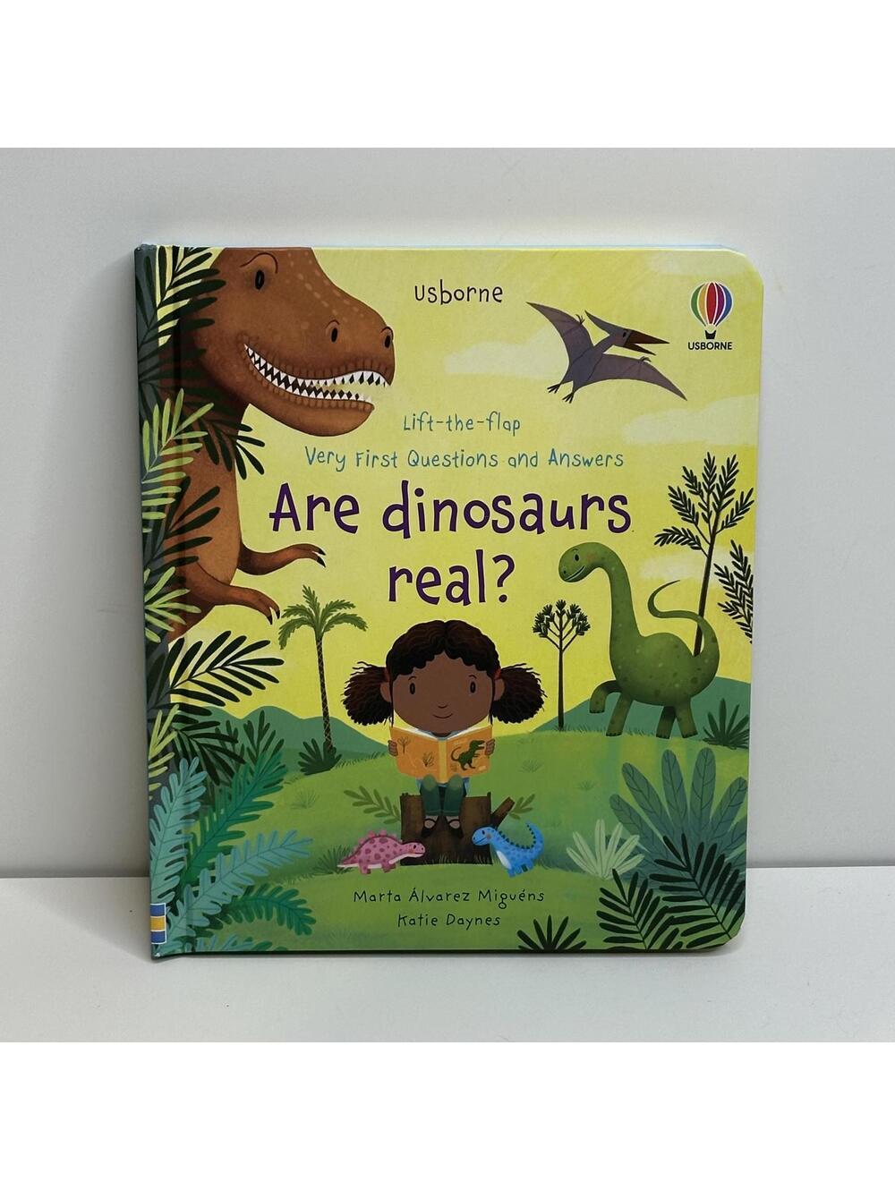 Usborne Are Dinosaurs Real? Lift-the-Flap Board Book